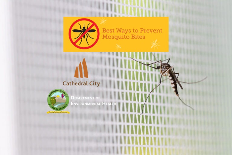 Protect Yourself From Mosquito Bites During National Mosquito Control ...